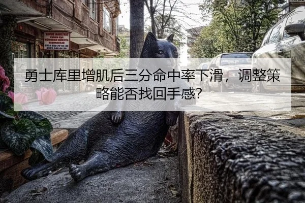 yong-shi-ku-li-zeng-ji-hou-san-fen-ming-zhong-lv-xia-hua-tiao-zheng-ce-lve-neng-fou-zhao-hui-shou-gan-3-456.jpg